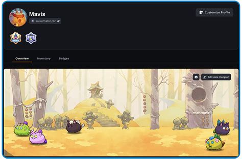 App.Axie Overview .